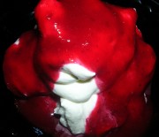 imagebam.com
