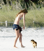 e8739561373430.gif