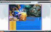 free image host free image host