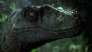 Парк Юрского периода 3 / Jurassic Park III (2001) HDTV 1080i Парк Юрского периода 3 / Jurassic Park III (2001) HDTV 1080i