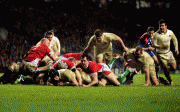 27369867038556.gif