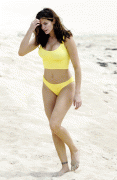 Stephanie Seymour in Yellow Bikini 