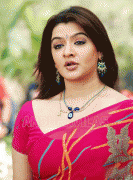 Actress Aarti Agarwal Hot in Saree