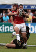 a5ef9680895576.gif