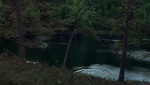 Postad bild